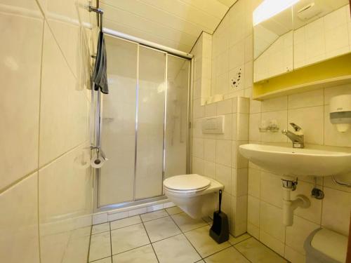 a bathroom with a shower and a toilet and a sink at Lake View Residence in Niederried