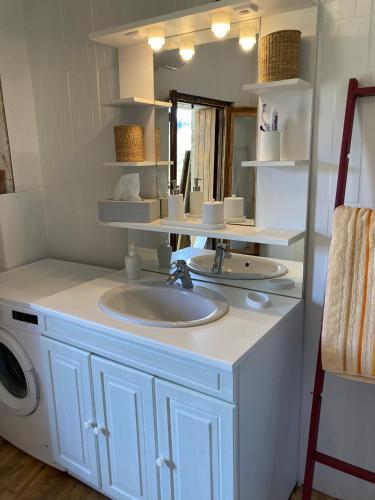 une salle de bain avec un lavabo et une machine à laver dans l'établissement Maison NATURALY, à Laprade