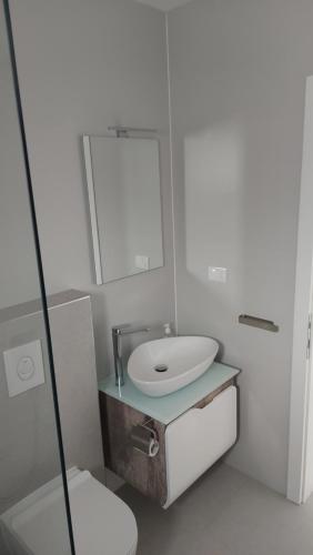 un baño con lavabo y espejo en Casa Aurelia, en Gornji Štoj