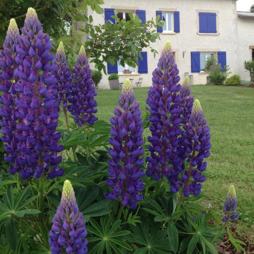 Photo de la galerie de l'établissement YuMaNa La Maison de MaNa, à Moissieu-sur-Dolon