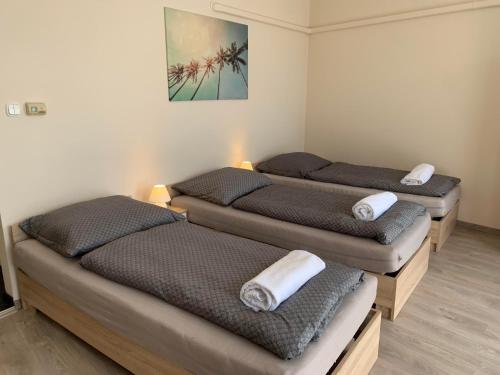 Posteľ alebo postele v izbe v ubytovaní Silver Shine Apartman