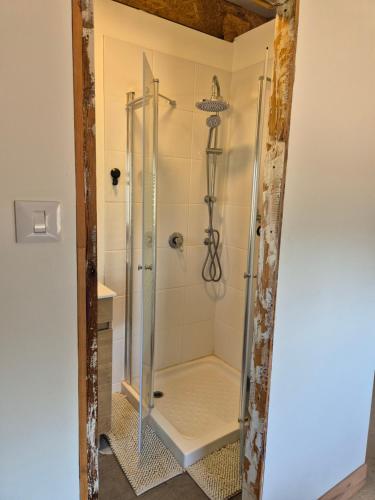 a shower with a glass door in a bathroom at Adas in Aviʼel