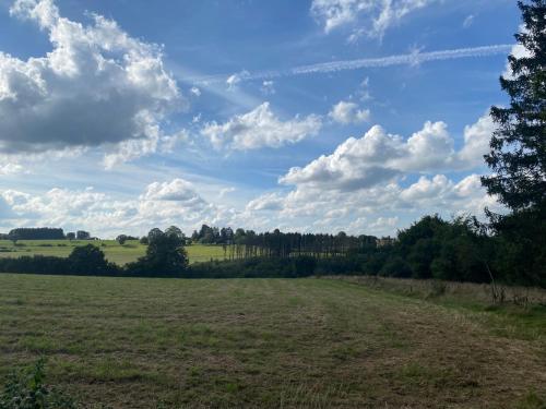 a field of grass with a sky with clouds at Vakantiehuis Bourseigne in Gedinne