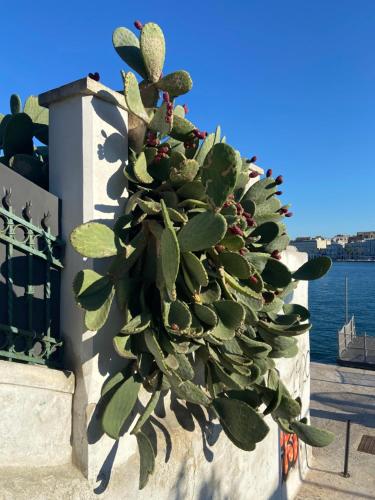 Gallery image of Appartamento STELLA DEL SALENTO Brindisi in Brindisi
