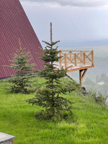 a wooden bench on top of a hill with a pine tree at IN CLOUDS RESORT Byurakan in Antarut
