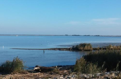 an island in the middle of a body of water at Oasi di Arcadia in Santa Giulia