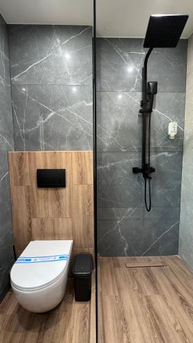 a bathroom with a toilet and a shower at Садиба на Кодимі in Archipitovka