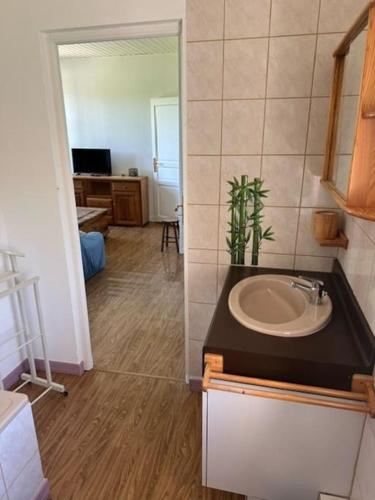 La salle de bains est pourvue d'un lavabo. dans l'établissement Maison campagne Normande, à Blacqueville