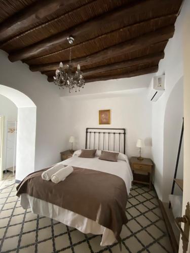 ein Schlafzimmer mit einem großen Bett und einer Holzdecke in der Unterkunft Casa Cordón in Montilla