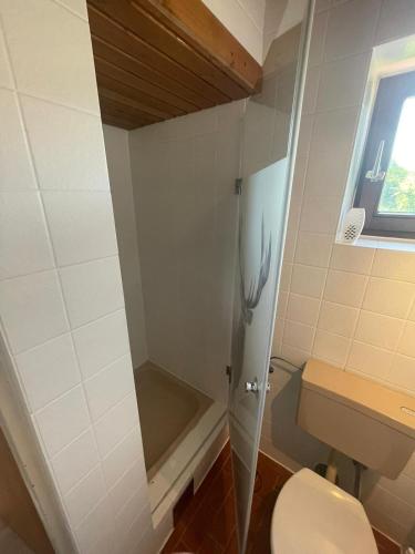 a bathroom with a toilet and a bath tub at Sunside Apartments in Bad Mitterndorf