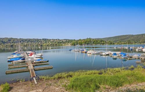 a bunch of boats are docked in a harbor at Stunning Apartment In Vöhl - Basdorf in Basdorf