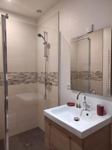 une salle de bain avec un lavabo et une douche dans l'établissement Maison cosy avec extérieur proximité Rouen Centre, à Le Petit-Quevilly