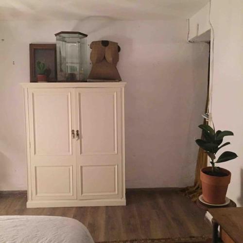 une chambre avec une armoire blanche et une plante en pot dans l'établissement Spacious ground floor apartment in town centre, à Hendaye