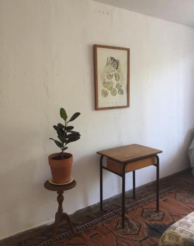 une table et une plante en pot dans une pièce dans l'établissement Spacious ground floor apartment in town centre, à Hendaye