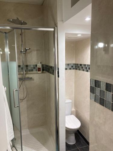 une salle de bain avec douche et toilettes dans l'établissement Joli appart F2, les 3 croissants, centre ville, à Sens