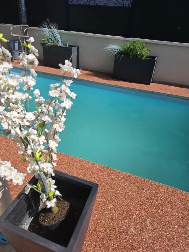 2 tables avec des plantes et une piscine bleue dans l'établissement 1001nuits dijon, à Fénay