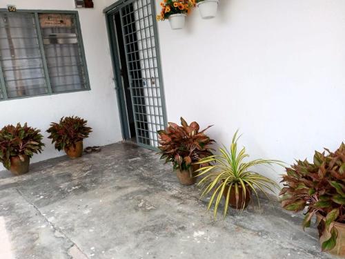 a group of potted plants in front of a door at Homestay Mak Serting Tengah in Batu Kikir