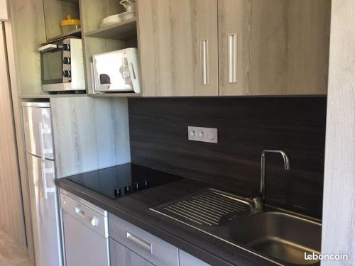 une cuisine avec un évier et un micro-ondes dans l'établissement Maeva clubhotel ST Raphael, à Saint-Raphaël