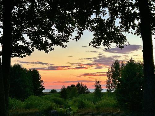 a sunset over a field with trees and a fence at Inn Serendipity Eesti in Jaagupi