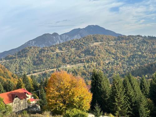 Příroda nedaleko hotelu