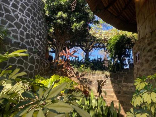 Jardín al aire libre en Sega Song Beach House