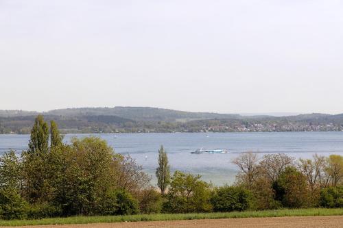 a boat on a large body of water at Studio im Grünen und Bodenseenähe in Rielasingen-Worblingen