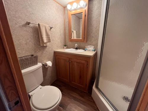 a bathroom with a toilet and a sink and a shower at Cabin 63 in Almont