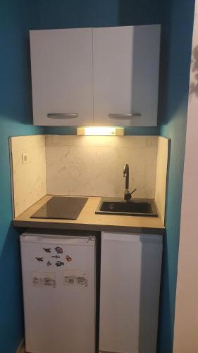 une petite cuisine avec un évier et un réfrigérateur dans l'établissement Charmant Studio proche Faculté CHU prix imbattable, à Dijon