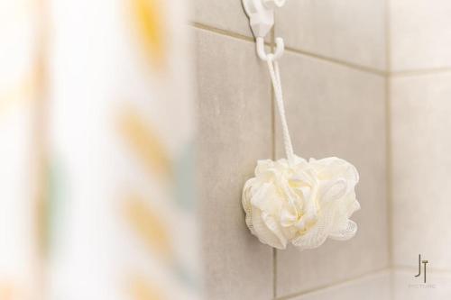 Une fleur blanche est suspendue sur un mur dans l'établissement Charmant studio proche de toutes commodités, à Saint-Quentin