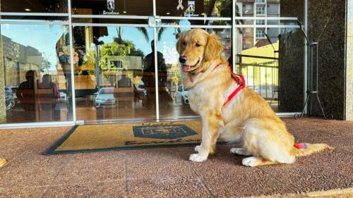 宿泊客と一緒にHotel Barcelonaに滞在中のペット
