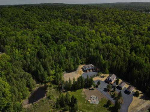 an aerial view of a house in the woods at Chalet 2 OST Shefford in Shefford