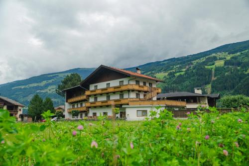 Zell Views Apartments