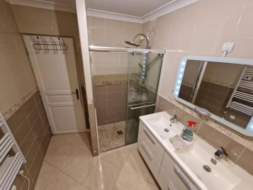 une salle de bain avec une douche, un lavabo et un miroir dans l'établissement Le Lotus - appartement, à Béziers