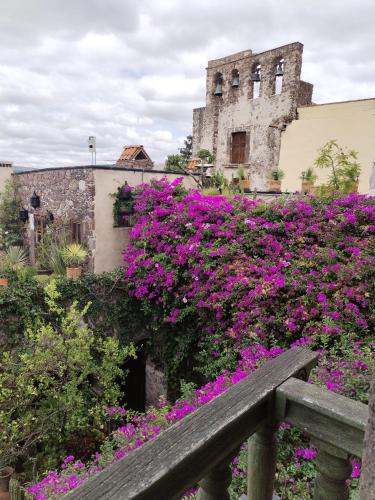Jardín al aire libre en Hacienda Las Amantes