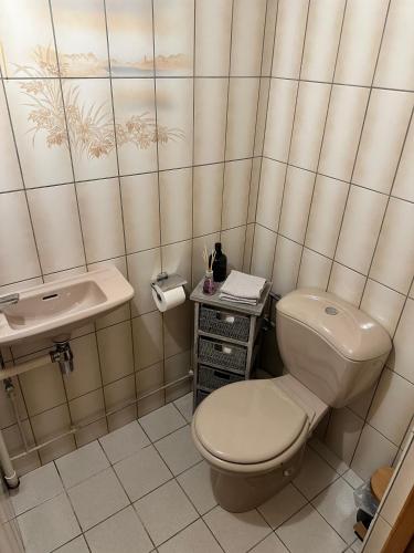 une salle de bain avec toilettes et lavabo dans l'établissement Nuit à la campagne, à Assenoncourt