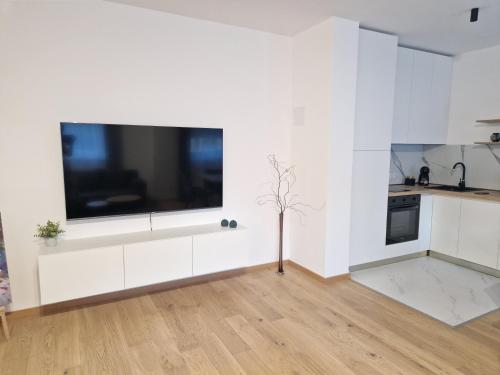 Afbeelding uit fotogalerij van Apartman Panonija in Vinkovci