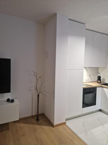 Afbeelding uit fotogalerij van Apartman Panonija in Vinkovci