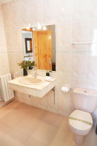 a bathroom with a sink and a toilet and a mirror at Villa San Lure Jaca in Jaca