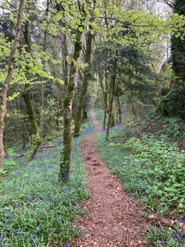 Photo de la galerie de l'établissement Les Ercuries, à Plouguenast Langast