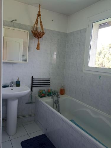 une salle de bain avec un lavabo et une baignoire et un lavabo dans l'établissement La Salamandre -appartement, à Salbris