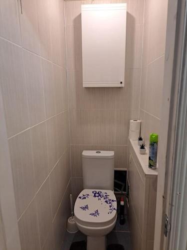 a small bathroom with a toilet with a blue and white flower on it at Nakvynė ir poilsis Zarasų mieste visai šeimai in Zarasai