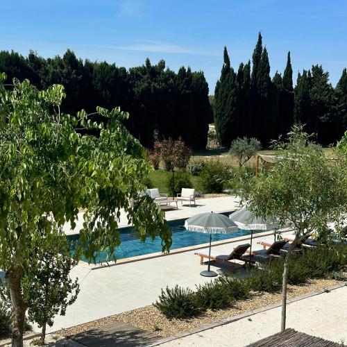 - une piscine avec des parasols, des chaises et des arbres dans l'établissement La maison en Provence, à Graveson