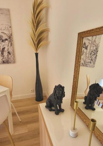 un chien noir assis sur une table devant un miroir dans l'établissement L'Evasion Chill, à Saint-Brieuc