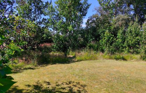 a field with grass and trees in the background at 3 Bedroom Gorgeous Home In Jerup in Jerup