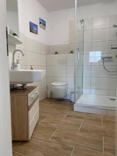 a bathroom with a toilet and a sink and a shower at Ferienwohnung Likedeeler in Dornumersiel