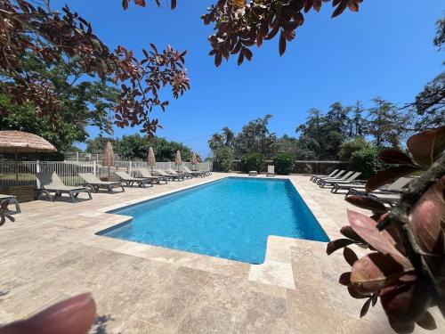 - une piscine entourée de chaises longues dans l'établissement Solenzara- appartement 5 personnes vue mer dans résidence avec piscine, à Sari-Solenzara