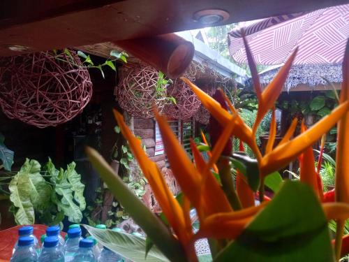 a close up of some carrots and some water bottles at Hidden Tourist Inn in Mambajao