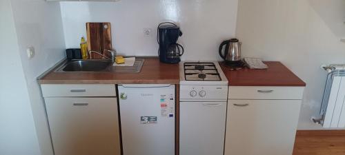 a small kitchen with a stove and a sink at Apartman Benjamin in Poreč