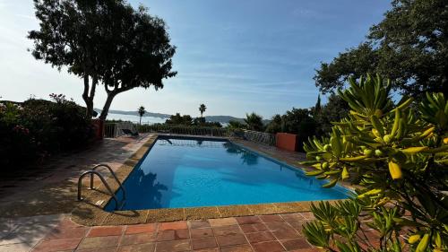 une piscine dans une cour avec un palmier dans l'établissement Le Mas des oliviers, à Grimaud
