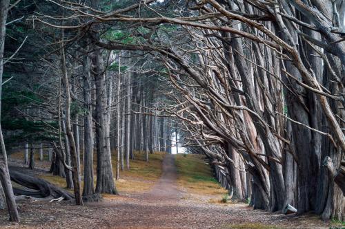 Un paisaje natural cerca de la casa vacacional